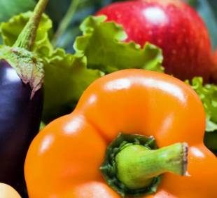 Vegan standard – Prezentare cerinte