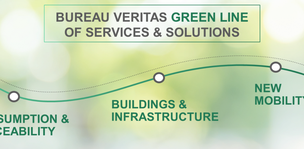 BV GREEN LINE