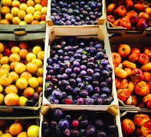 Cursuri de Siguranţă Alimentară în lanţul de furnizare