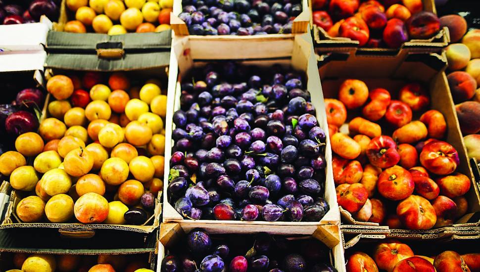 Cursuri de Siguranţă Alimentară în lanţul de furnizare