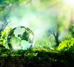 ISO 14001:2015 Cerinte pentru implementare