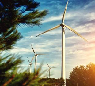 Responsabil cu managementul energiei cf. ISO 50001:2018