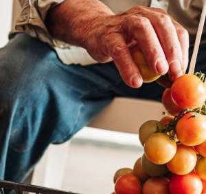 Curs Auditor Intern ISO 22000:2018